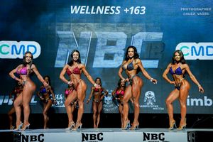 WELLNESS +163